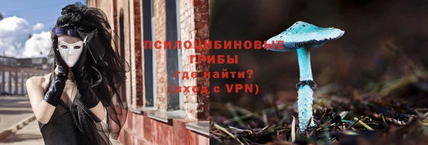 ешки Инсар