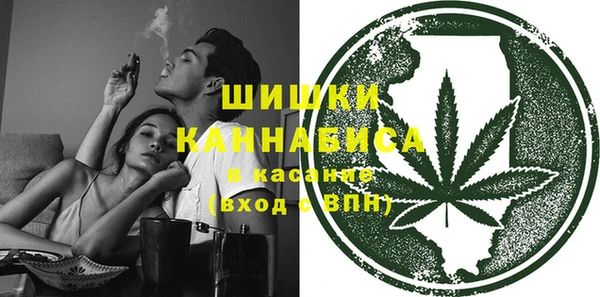 стафф Иннополис