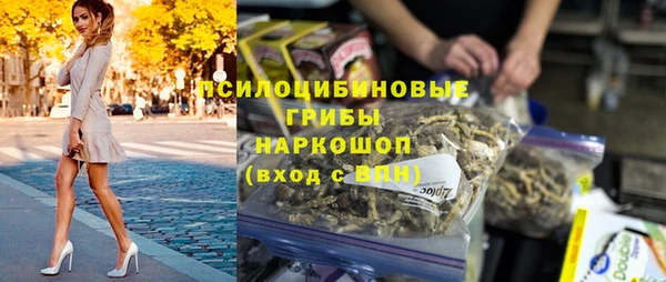 ешки Инсар