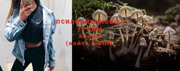 ешки Инсар